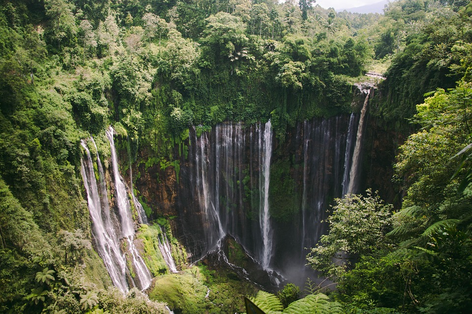 tropical destinations